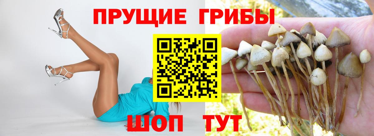Галлюциногенные грибы ЛСД Гулькевичи