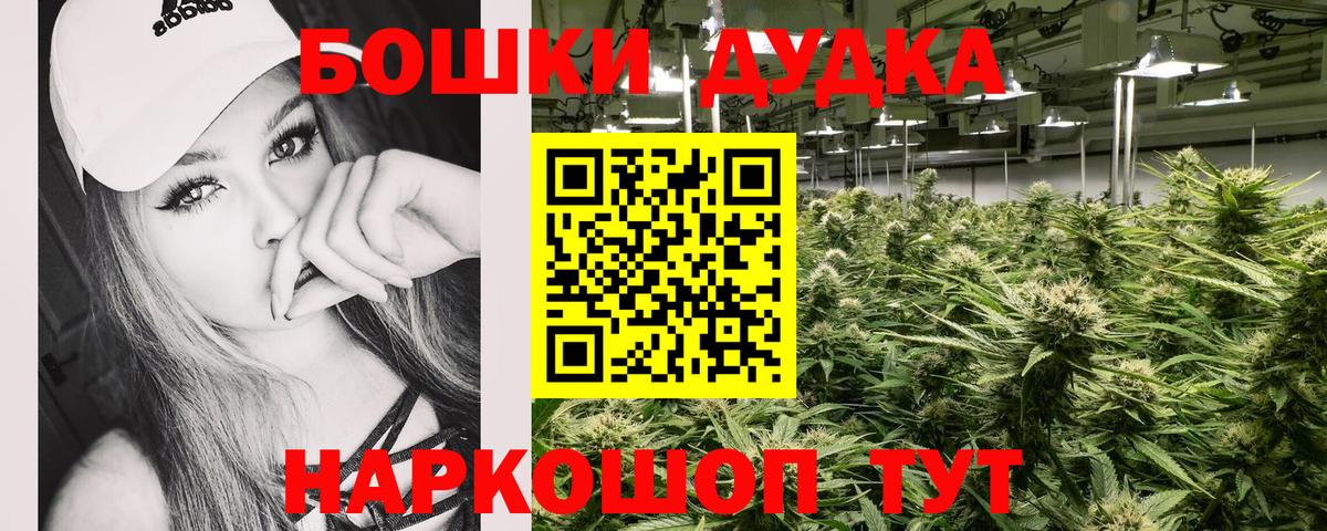Каннабис MAZAR Гулькевичи